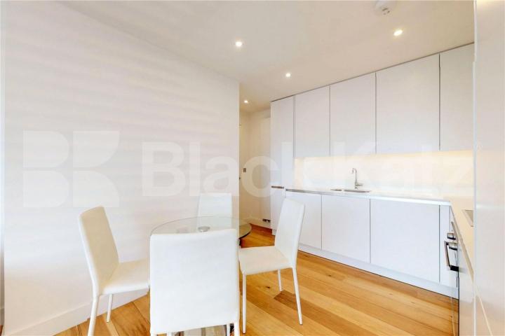 Stunning stylish 1 bed property with large roof terrace Plumbers Row, Aldgate / Whitechapel 